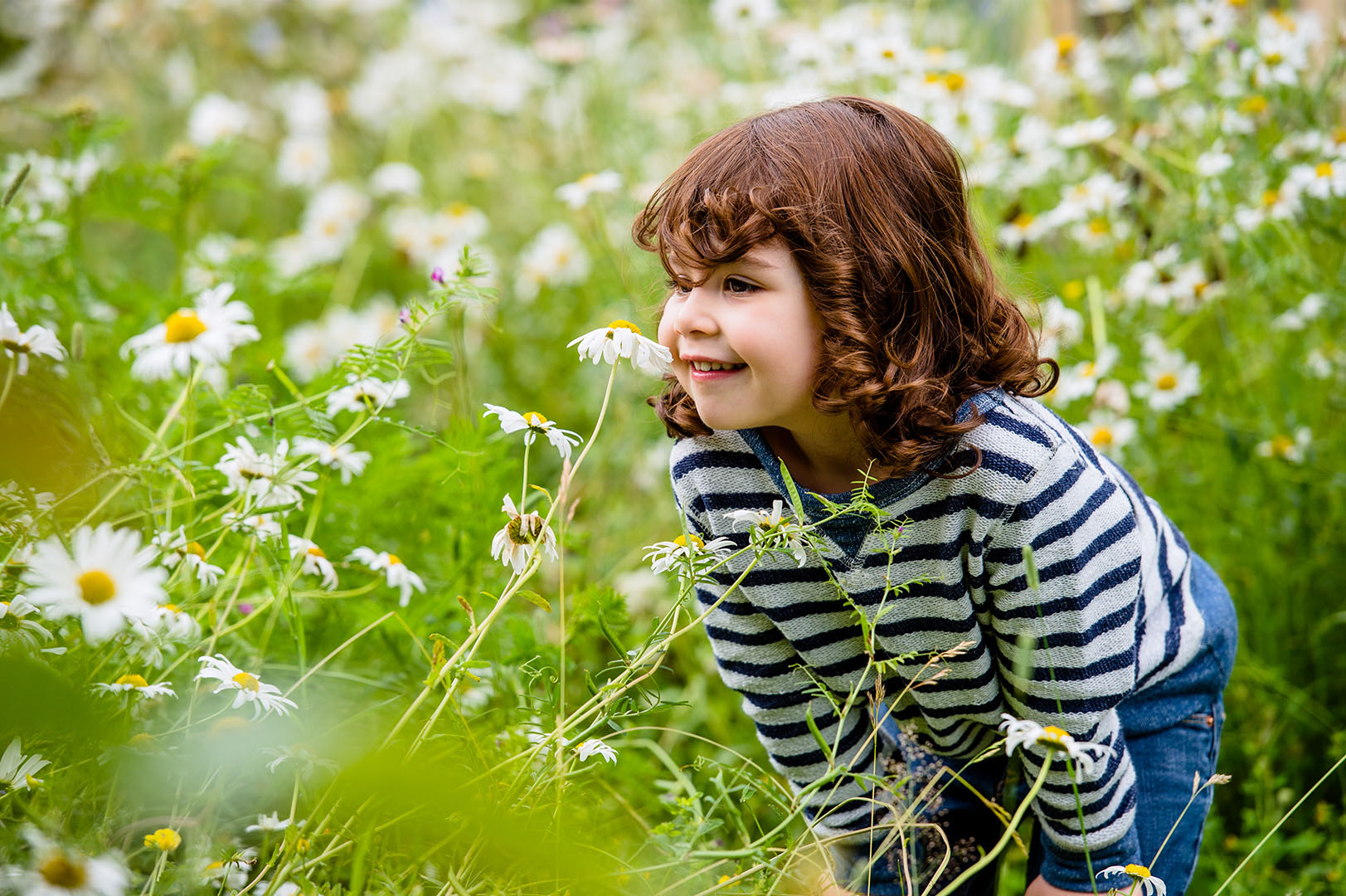 Young girl smelling wild daisies