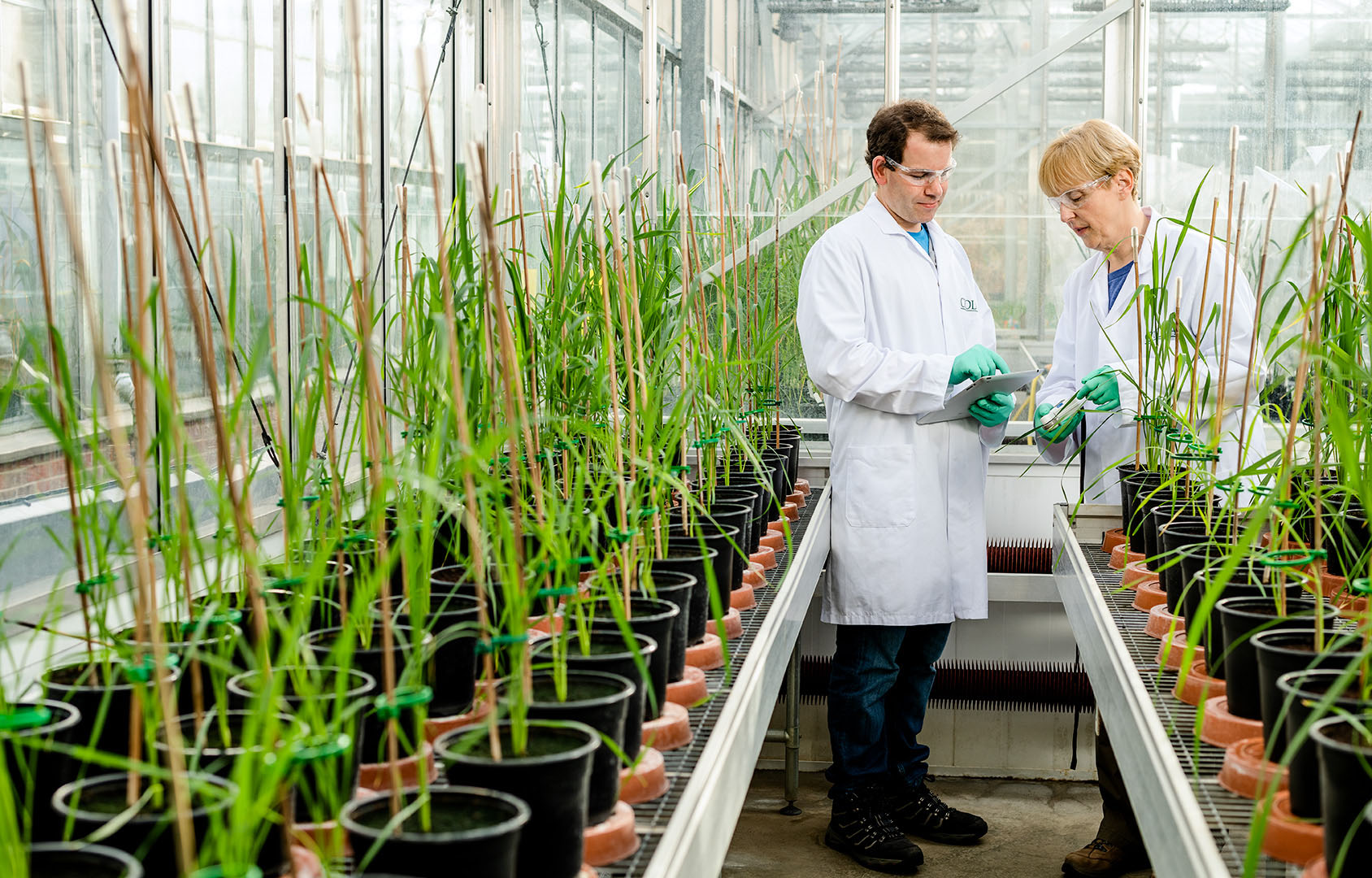 One Male & Female bio scientist discussing results in Industrial greenhouse 