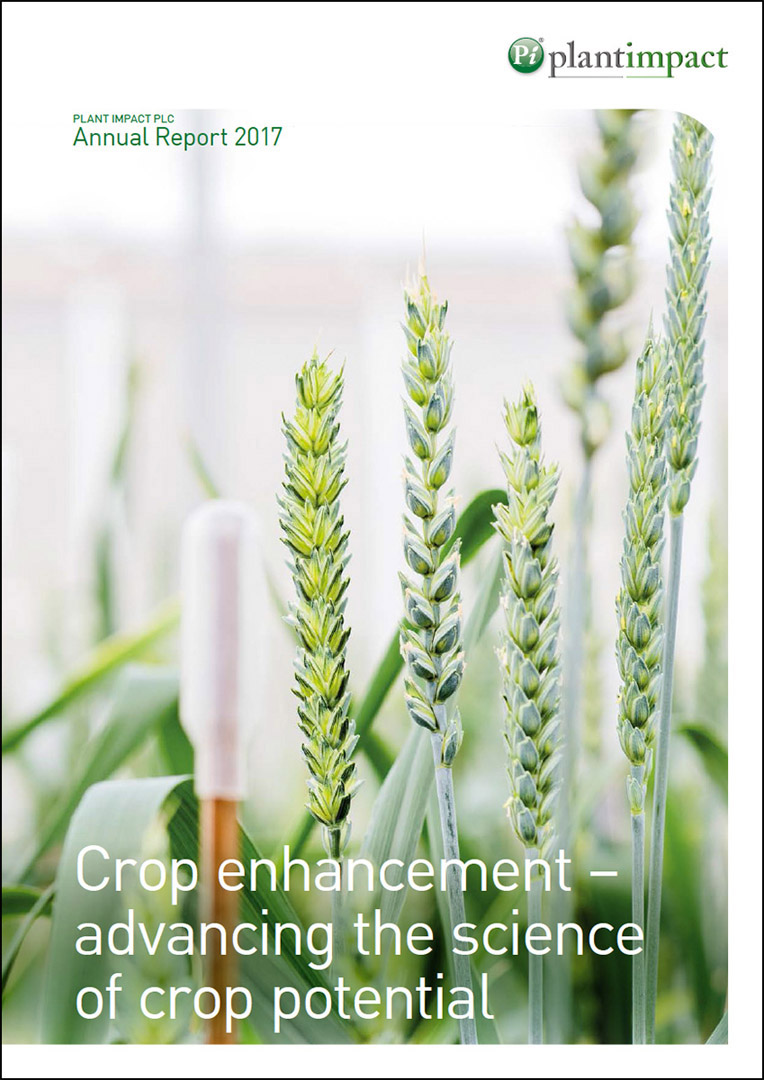 Close up image of wheat crop for the cover of Bioscience Company Annual report