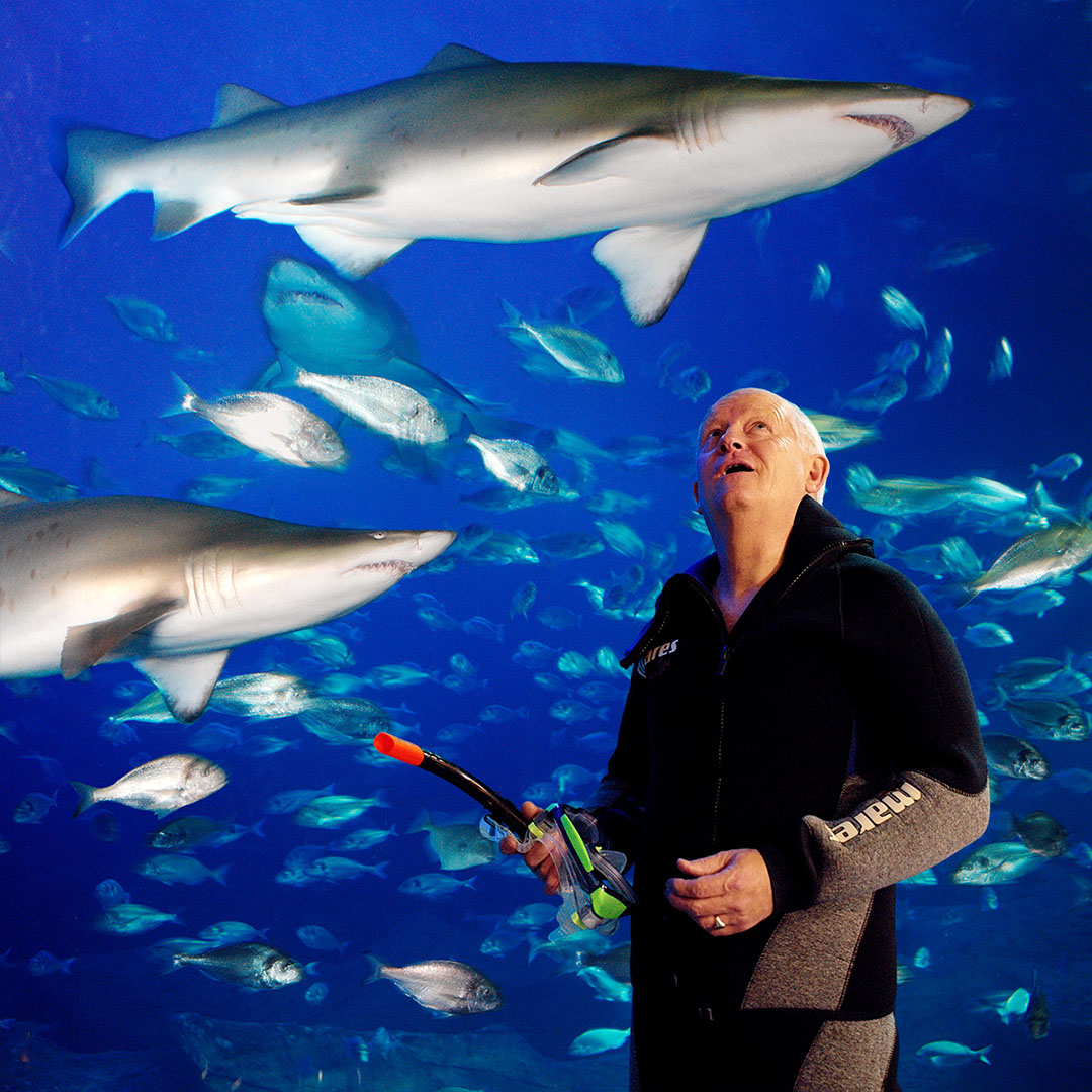Portrait with sharks