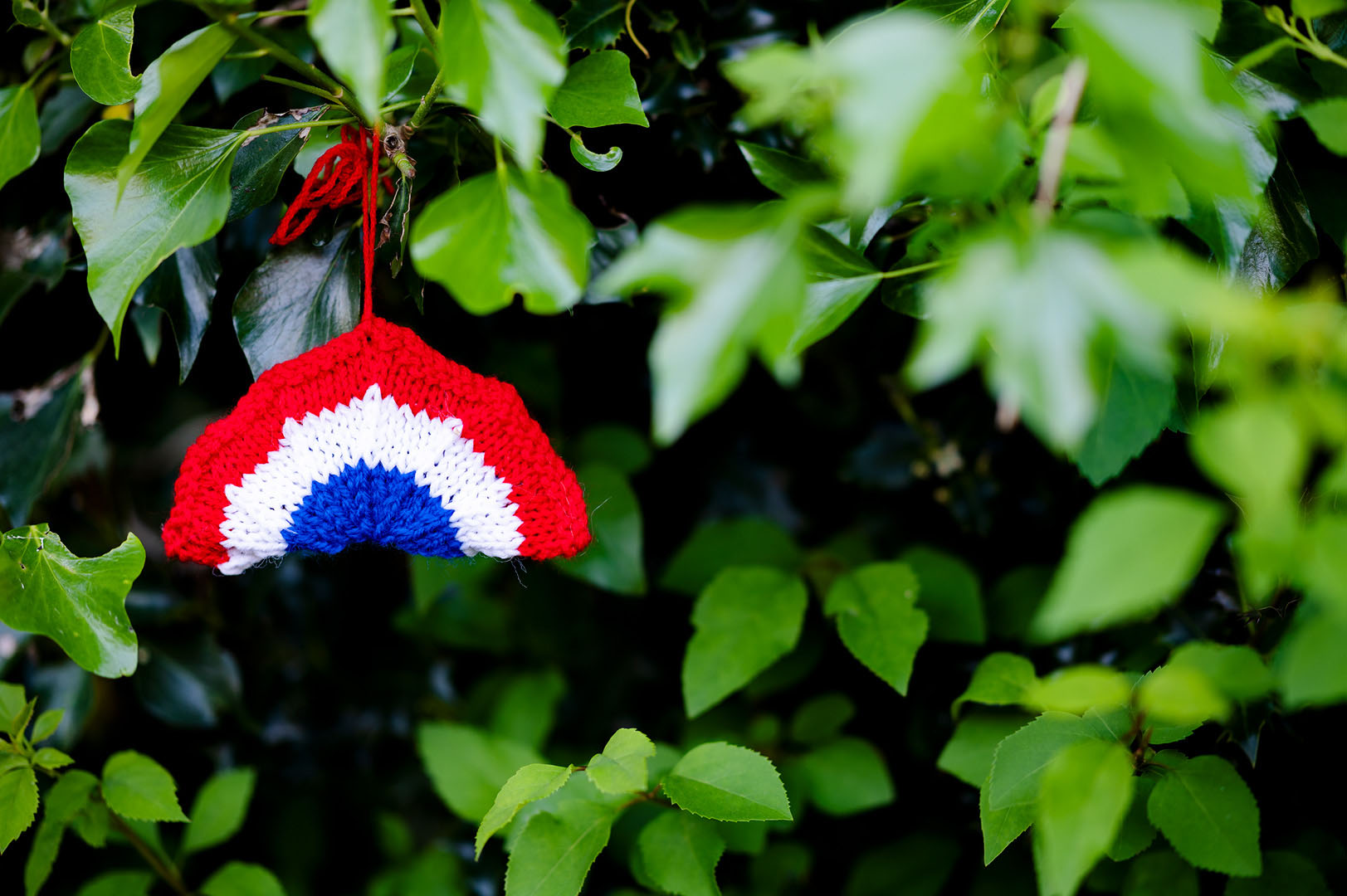 Knitted Tricolor hanging from branch during lockdown