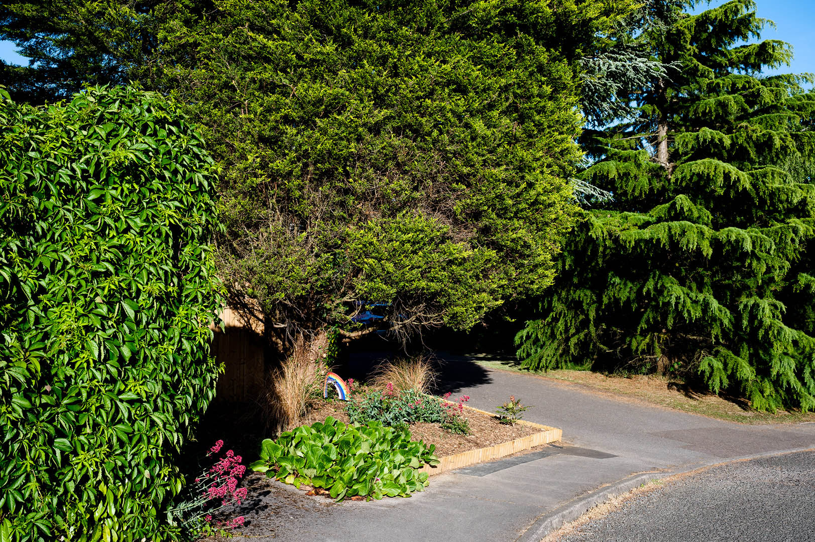 Rainbow amongst sunlit trees in rural street scene